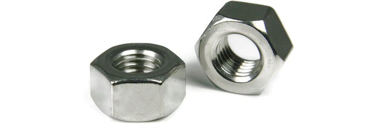 Alloy C22 Nuts