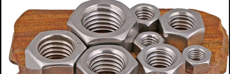 Stainless Steel 310 Nuts