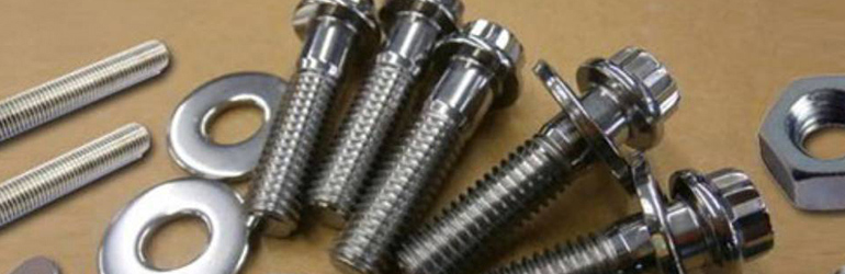 SS 310 Fasteners