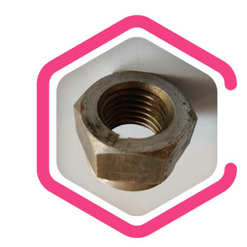 Alloy C22 Lock Nut