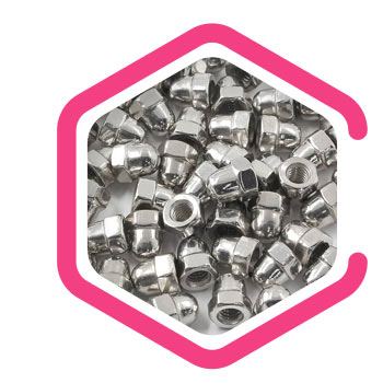 Hastelloy® Alloy C-2000 Dome Nuts
