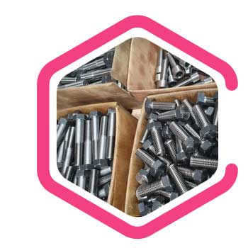   Hastelloy® Alloy C22 Fasteners  Construction Fasteners