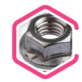 EN 2.4602 Flange Hex Nuts