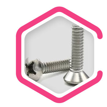 Haynes Alloy C22 Machine Screws