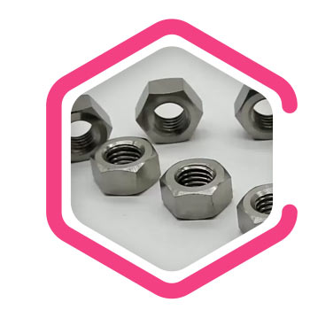 Ti Gr 2 Heavy Hex Nuts